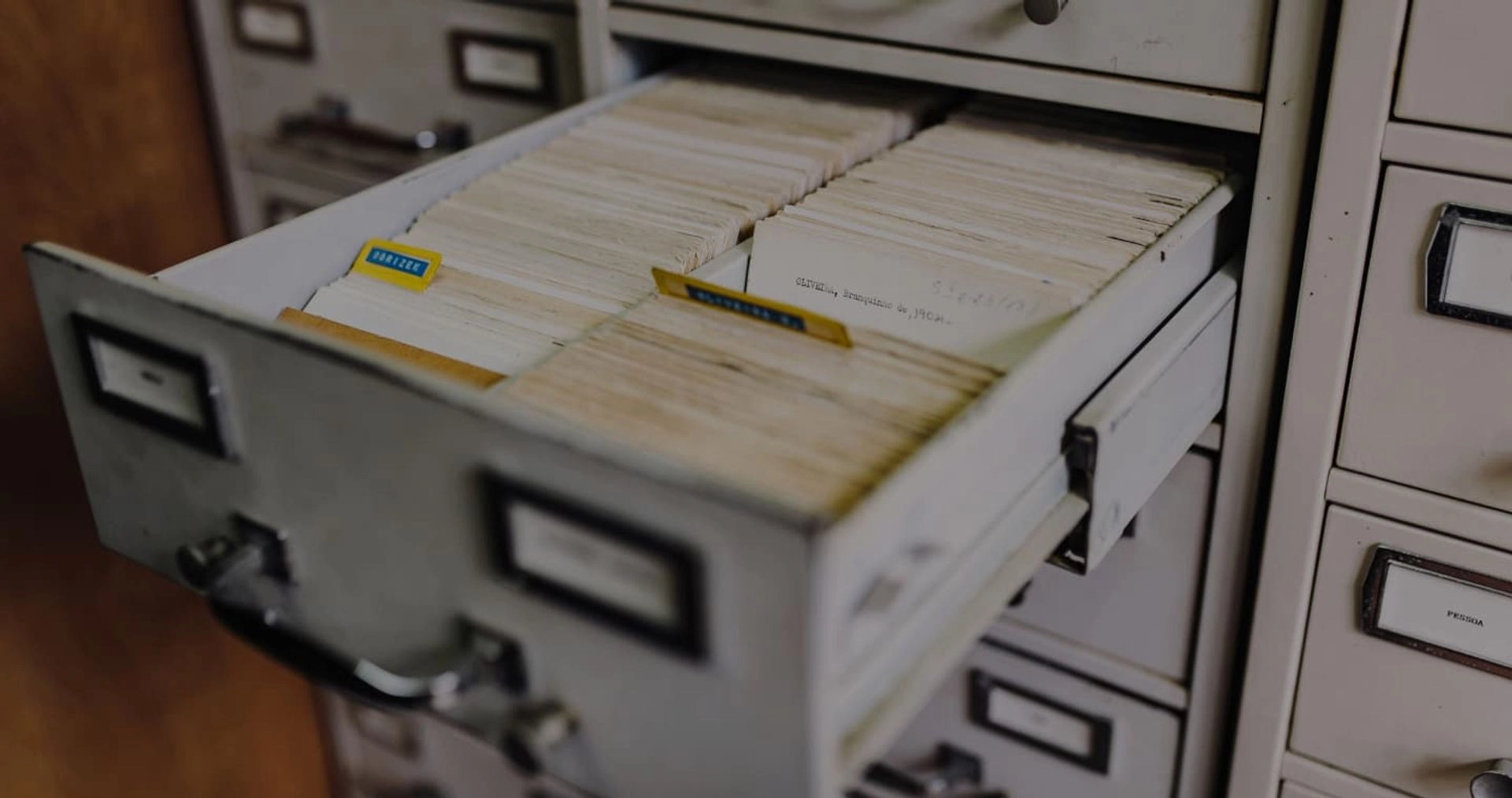 Explore our success stories and cases - Jappware